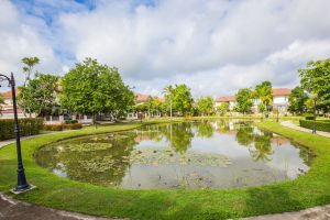 รูปภาพ ริชชี่ ริช แลนด์ เชียงใหม่ (Richy Rich Land Chiang Mai)