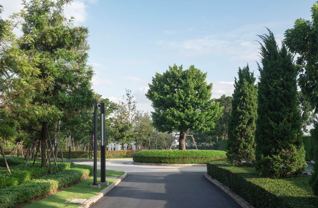 รูปภาพ นิยาม บรมราชชนนี (Niyahm Residence)