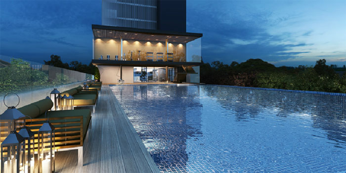 รูปภาพ เดอะ ทรี อินเตอร์เชนจ์ (The Tree Interchange)