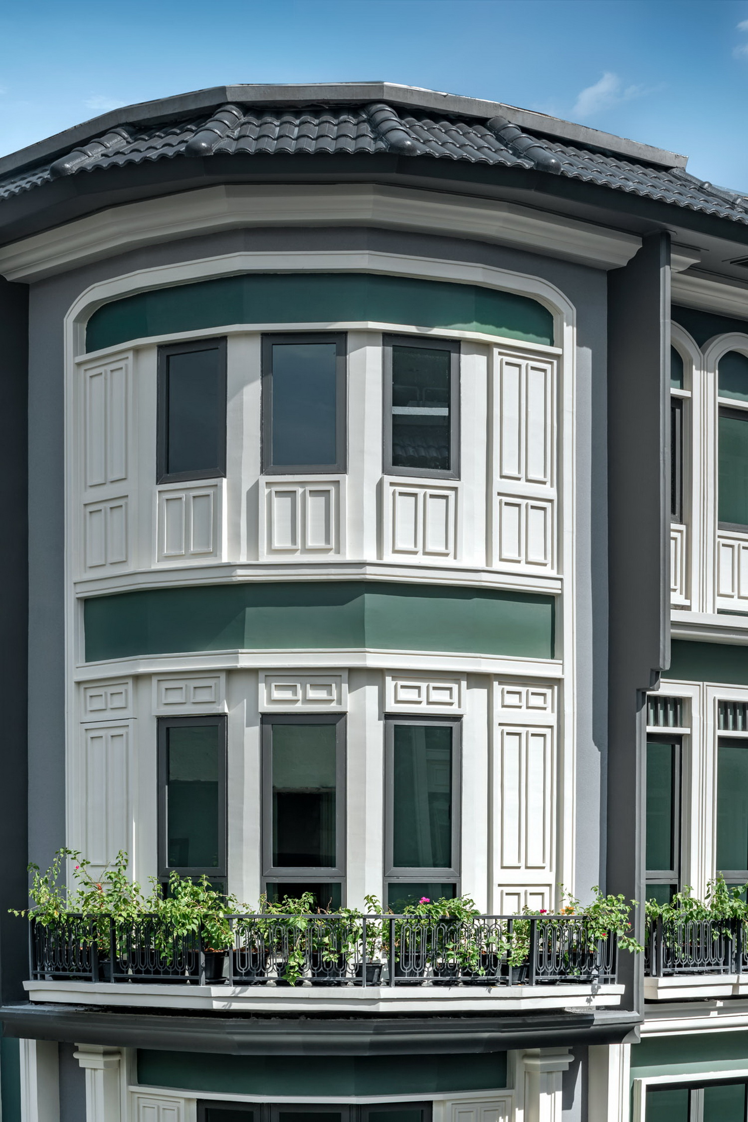 รูปภาพ ไทเกอร์ เลน เสือป่า (Tiger Lane)