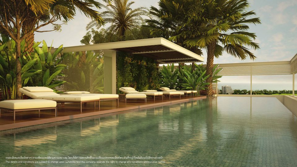 รูปภาพ ทรีท็อปส์  (Tree tops)