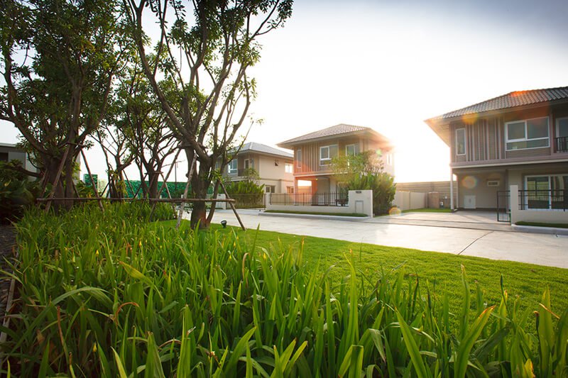 รูปภาพ คณาสิริ ชัยพฤกษ์ - วงแหวน (Kanasiri Chaiyapruek - Wongwaen)