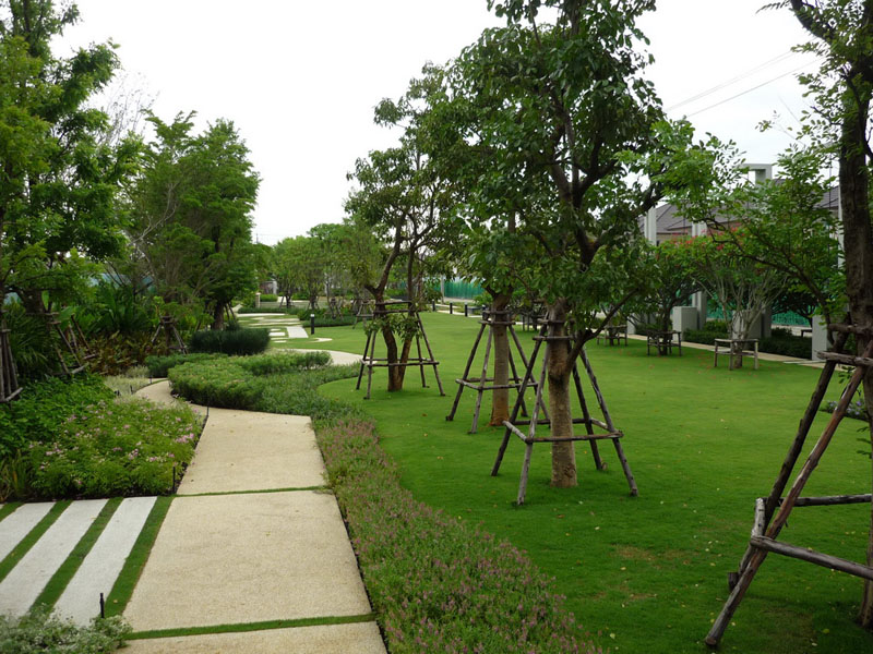 รูปภาพ เซนโทร รามอินทรา (Centro)