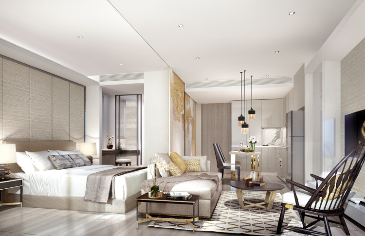 รูปภาพ ไซมิส เอ๊กซ์คลูซีพ ควีนส์ (Siamese Exclusive Queens)