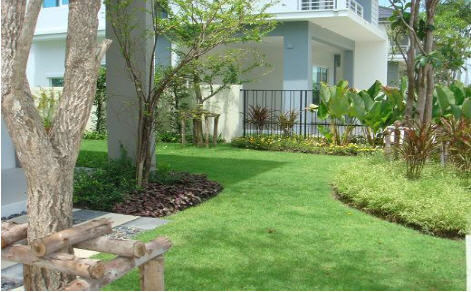 รูปภาพ พฤกษ์ลดา ติวานนท์-ราชพฤกษ์ (Pruklada Tiwanon-Ratchapruk)