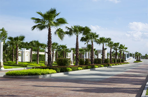 รูปภาพ คิวเฮ้าส์ อเวนิว ราชพฤกษ์ - พระราม 5 (Q.House Avenue Rama 5)