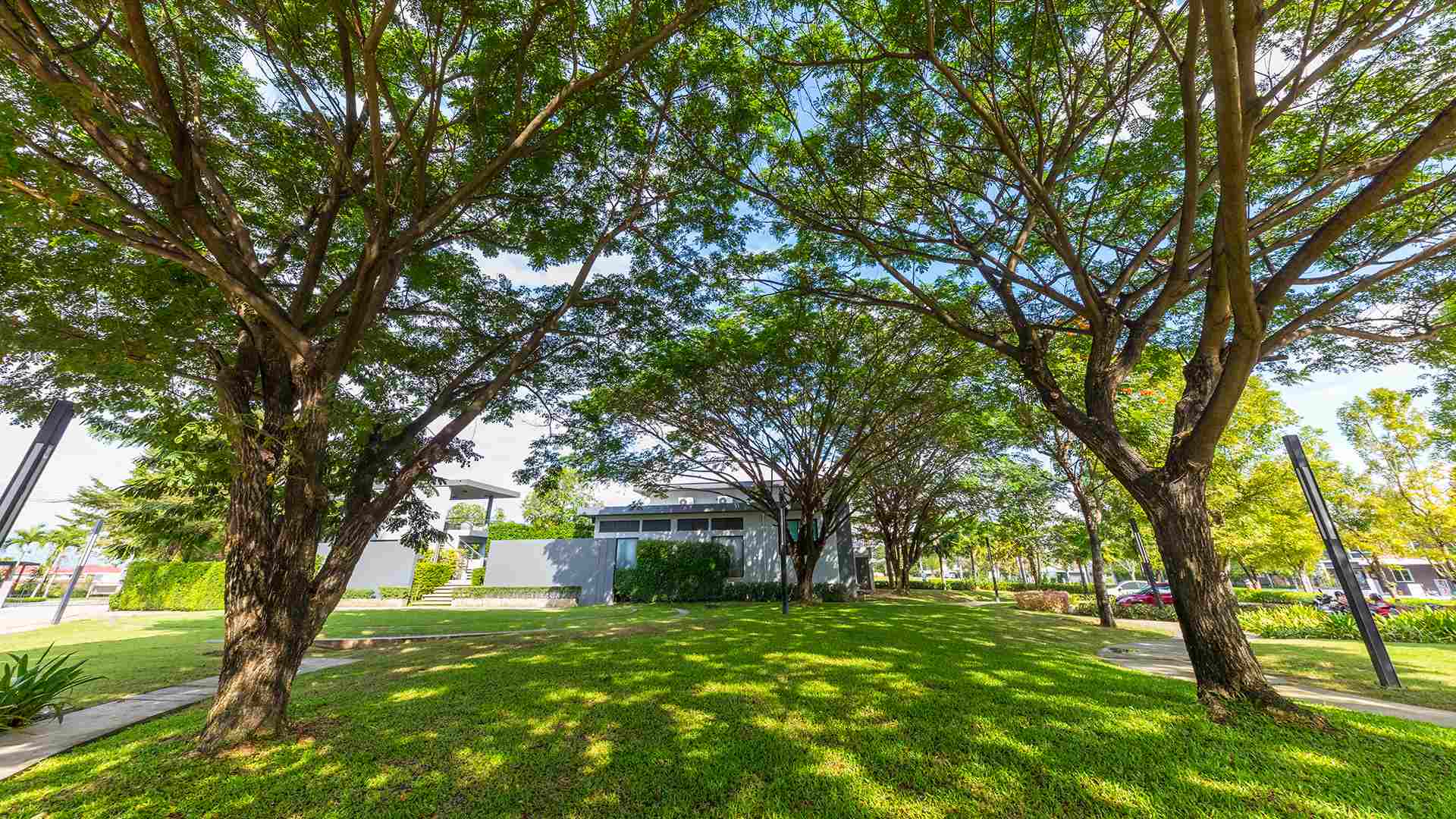 รูปภาพ อินนิซิโอ เชียงใหม่ (inizio Chiang Mai)