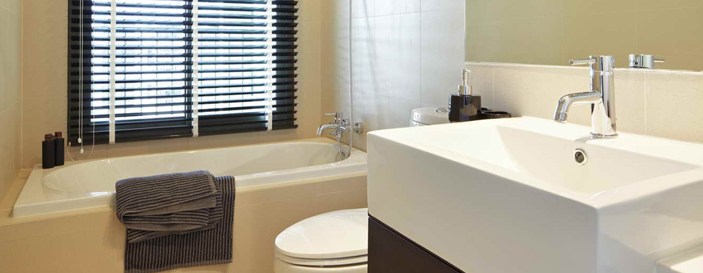 รูปภาพ โนเบิล โซโล (Noble Solo)