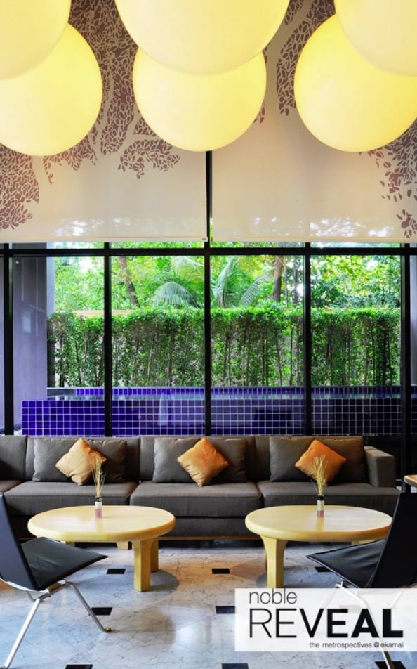 รูปภาพ โนเบิล รีวีล (Noble Reveal)