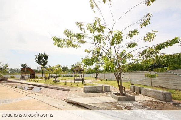 รูปภาพ เดอะ คานารี่ วิลล์ บ้านเป็ด (The Canary Ville Banped)