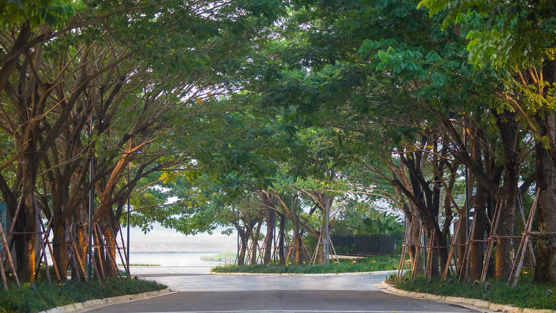 รูปภาพ นันทวัน ซีรีนเลค เชียงใหม่ (Nantawan Serene Lake Chiangmai)