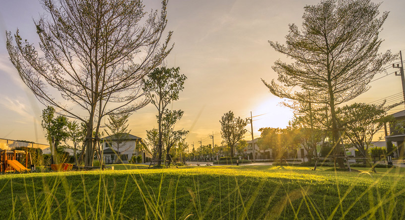 รูปภาพ อินนิซิโอ 2 รังสิต คลอง 3 (Inizio 2 Rangsit-Klong 3)