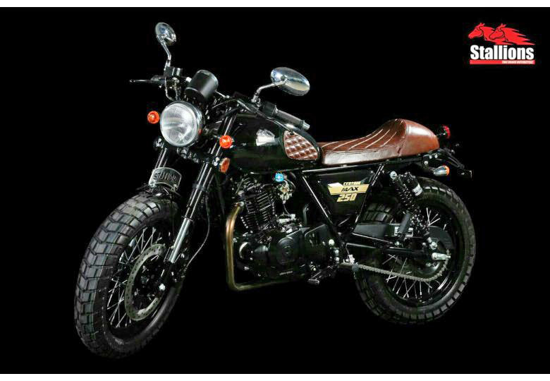 รูปภาพ สตาเลียน Stallions Centaur 250 Max ปี 2016