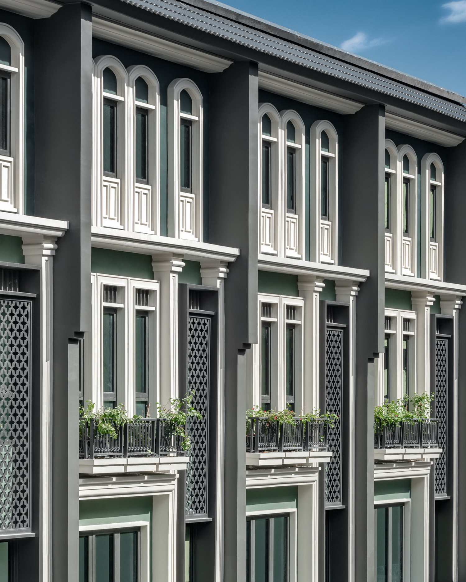 รูปภาพ ไทเกอร์ เลน เสือป่า (Tiger Lane)