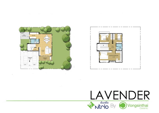 รูปภาพ เอ็นทรีโอ โคราช (Ntrio Korat)