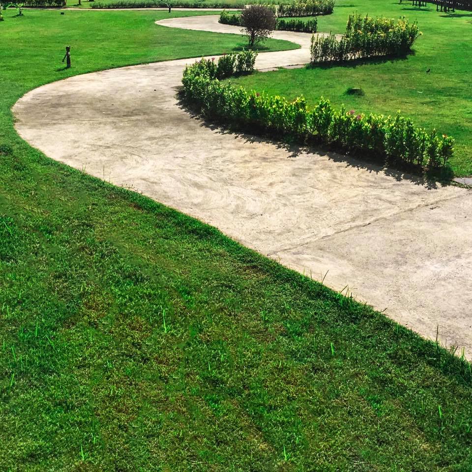 รูปภาพ บ้านฉัตรหลวง โครงการ 15 ซอยวัดบางเตยใน - สามโคก (Chatluang 15 Watbangtoeinai - Samcoke)