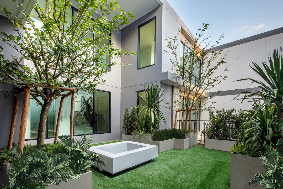 รูปภาพ เดอะเน็กซ์ เจ็ดยอด (The Next Jedyod)