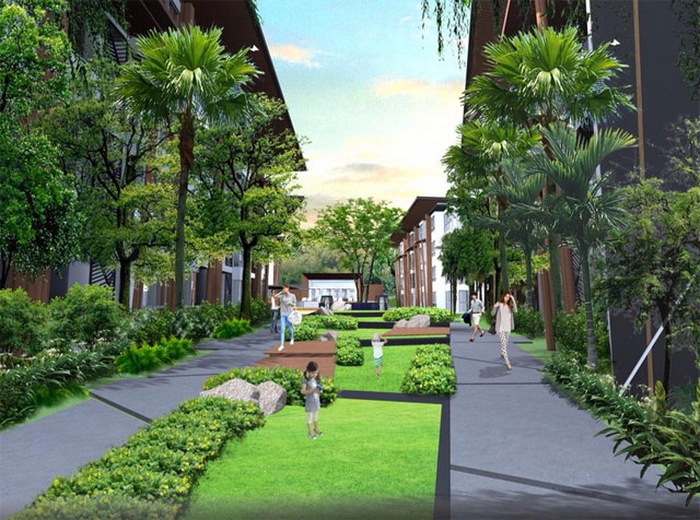 รูปภาพ พาคาทัส (Pacatas)