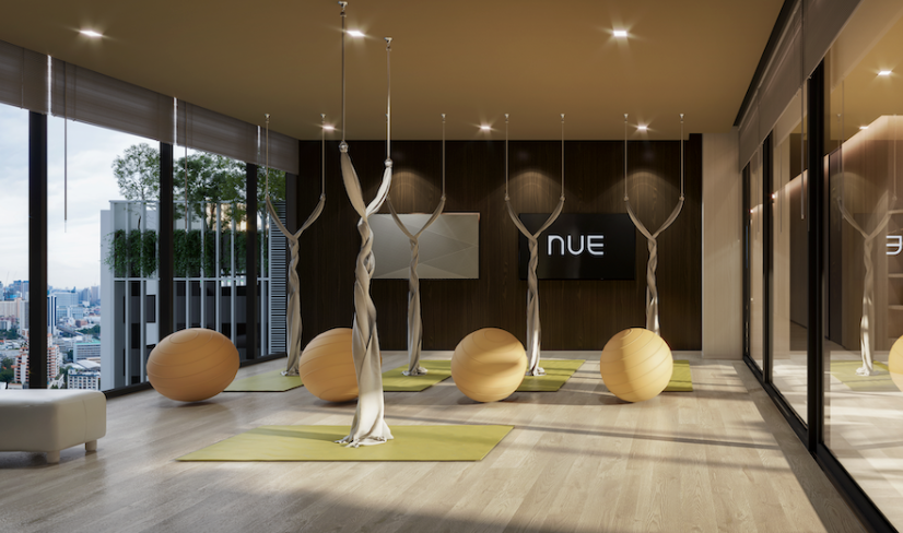 รูปภาพ นิว อีโว อารีย์ (Nue Evo Ari)