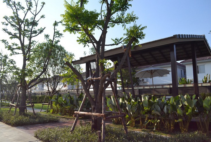 รูปภาพ บ้านพฤกษา ไพร์ม รังสิต - คลอง 3 (Bann Pruksa Prime Rangsit - Klong 3)