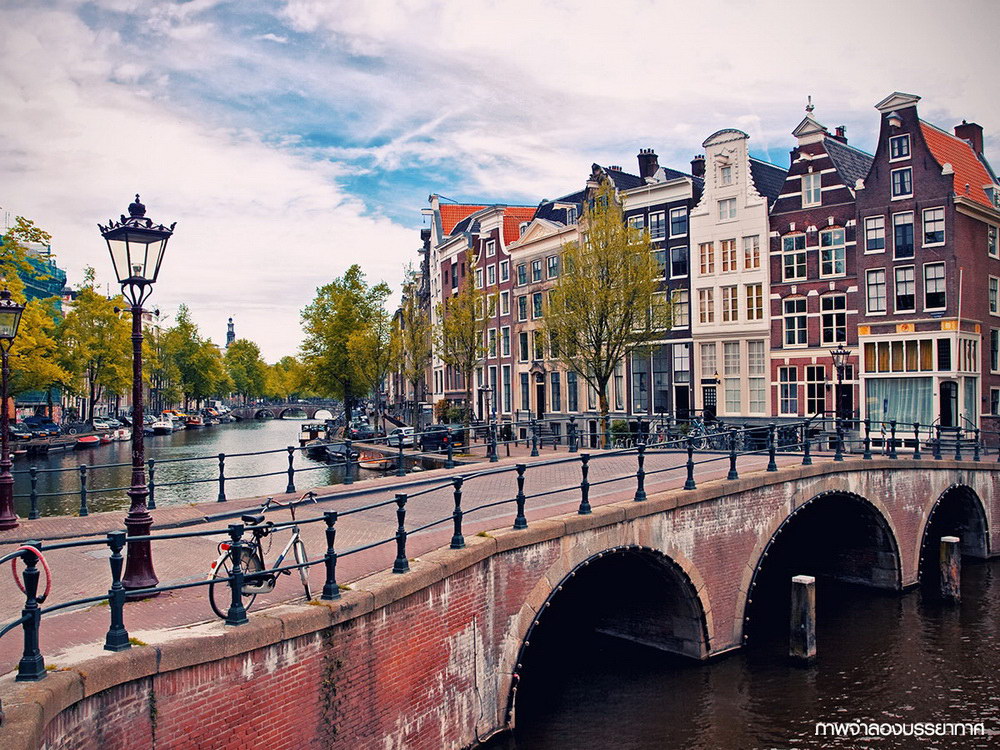 รูปภาพ อินดี้ บางนา กม.7 (2) Indy Bangna KM.7 (2)