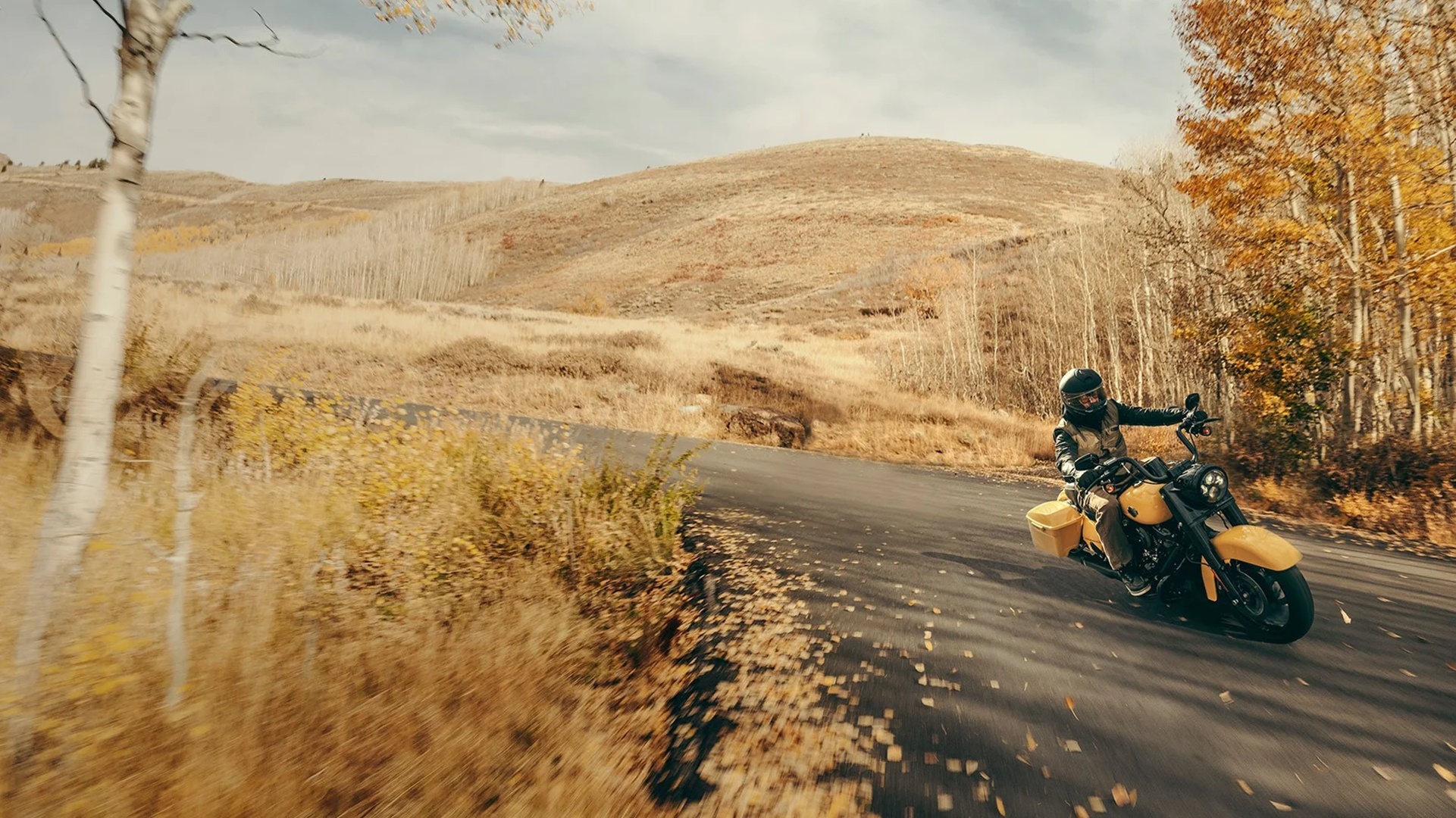 รูปภาพ ฮาร์ลีย์-เดวิดสัน Harley-Davidson Touring Road King Special ปี 2023