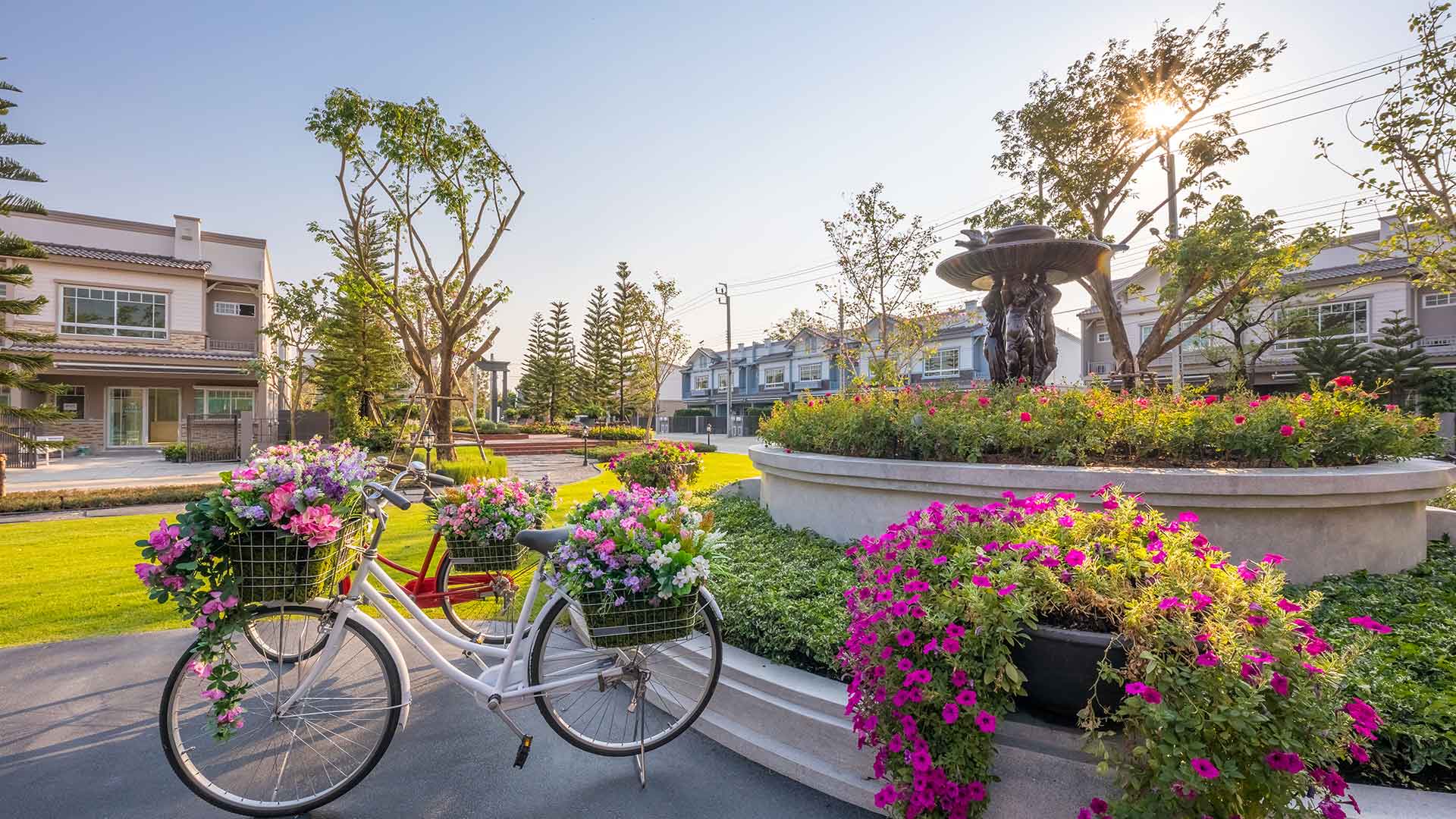 รูปภาพ อินดี้ ปิ่นเกล้า - สิรินธร (Indy Pinklao - Sirinthorn)