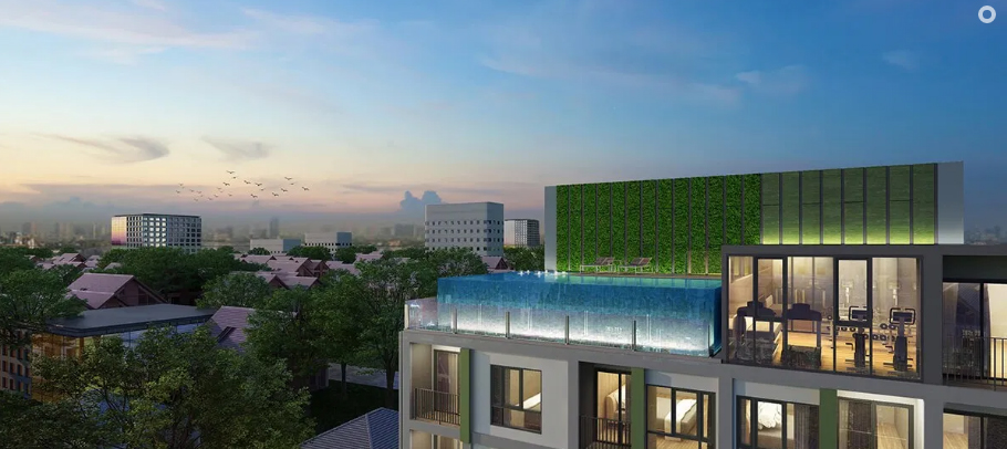 รูปภาพ แอชเชอร์ สุทธิสาร (Asher Sutthisan)