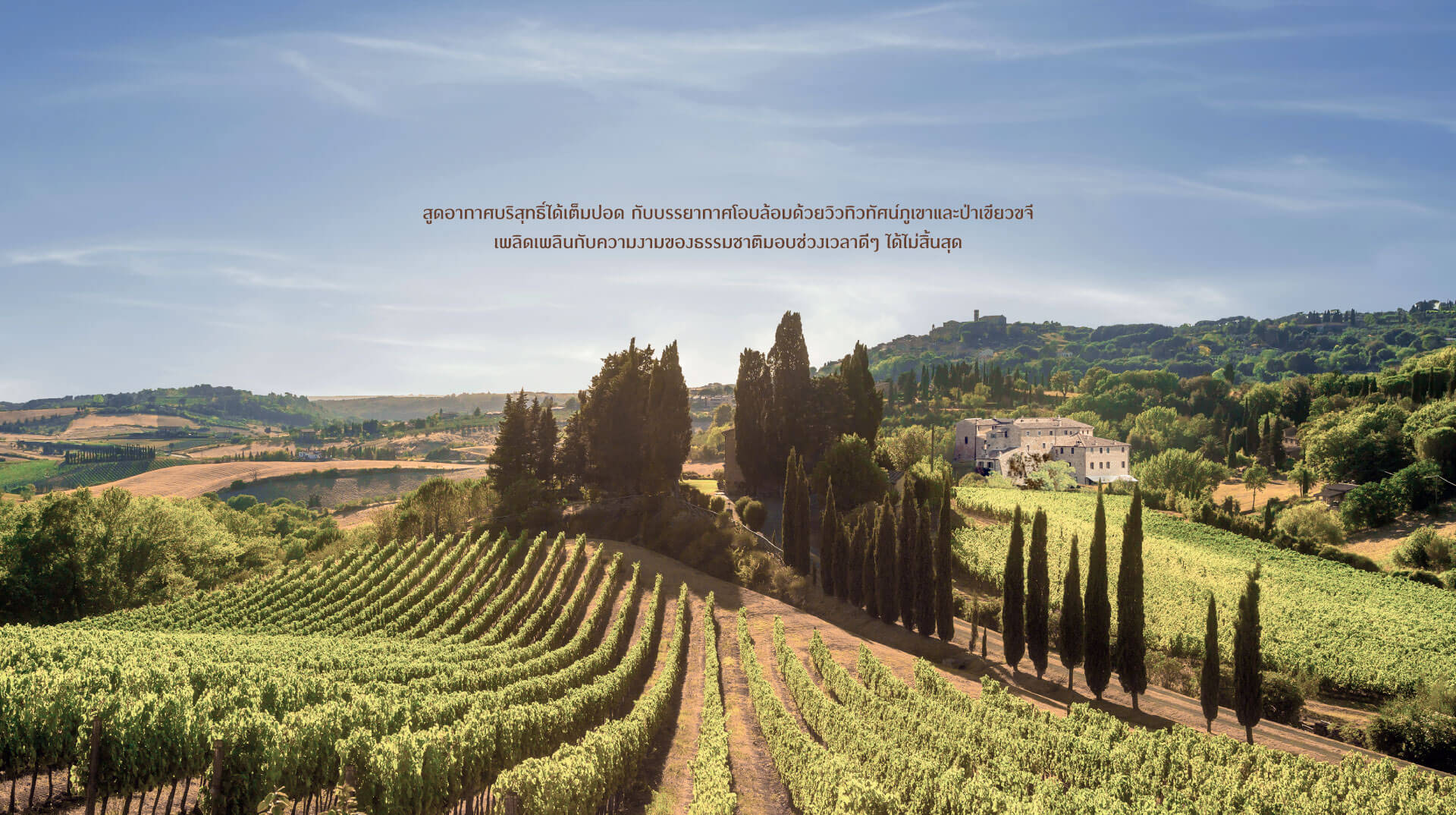 รูปภาพ เคียนติ ดิ เขาใหญ่ (Chianti di Khao Yai)