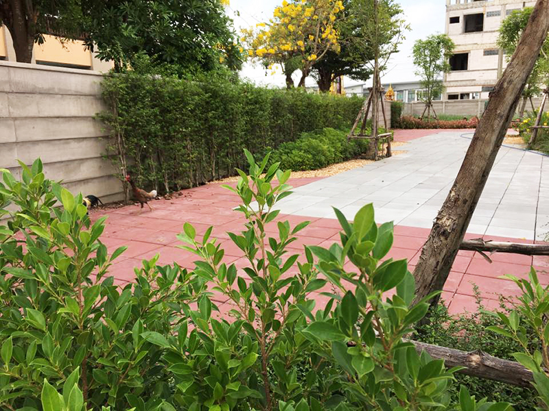 รูปภาพ บิซทาวน์ ปทุมธานี - บางหลวงสายใน (BIZ TOWN Pathumthani - Bangluangasainai)