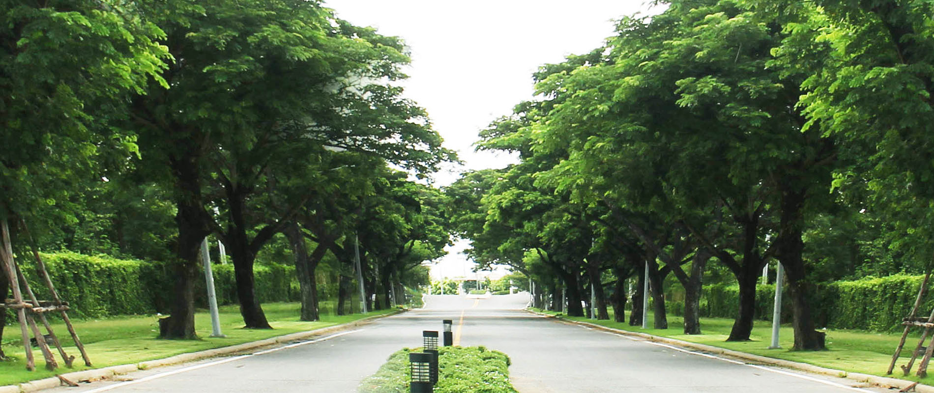 รูปภาพ ซิลเวอร์ เลค พาร์ค สุวินทวงศ์ 78 (Silver Lake Park Suwinthawong 78)