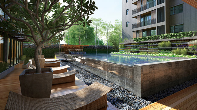 รูปภาพ ซิงค์ เนเจอร์ สยาม (Sync Nature Siam)