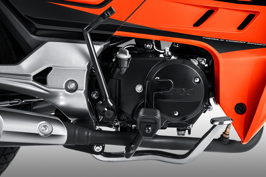 รูปภาพ จีพีเอ็กซ์ GPX Rock Elegance ปี 2020