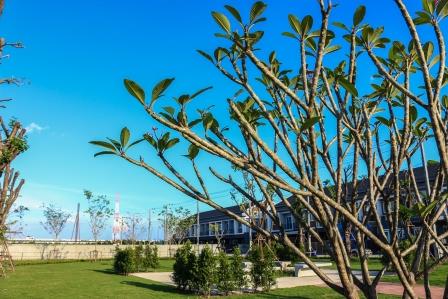 รูปภาพ ซื่อตรง โคซี่ บางบัวทอง-340 (บางใหญ่) (Suetrong Cozy Bangbuathong-340) (Bangyai)