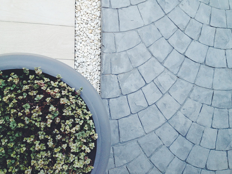 รูปภาพ ภัทรีดาอเวนิว ปทุมธานี (PATREEDA AVENUE Pathumthani)