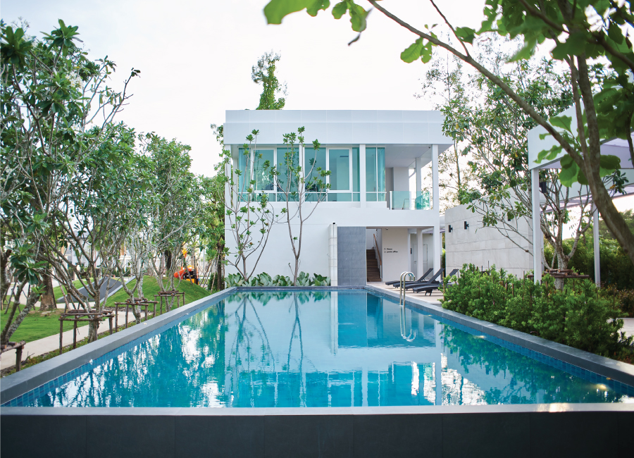 รูปภาพ เซนส์ สายไหม 56 (Sense Saimai 56)