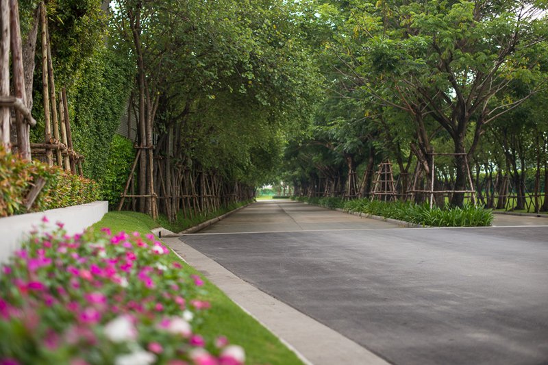 รูปภาพ คณาสิริ ชัยพฤกษ์ - วงแหวน (Kanasiri Chaiyapruek - Wongwaen)