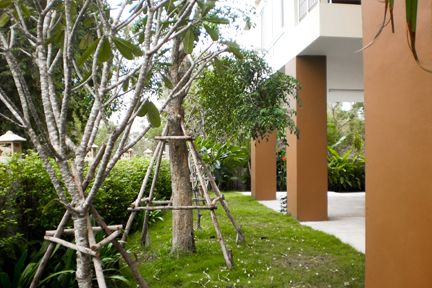 รูปภาพ หัวหิน บลู สกาย (Hua Hin Blue Sky)