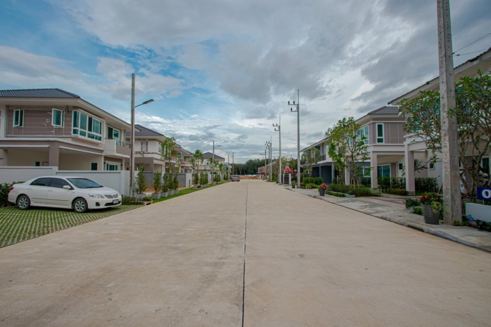 รูปภาพ ปาล์มสปริงส์ บลิส (Palmspring Blis)