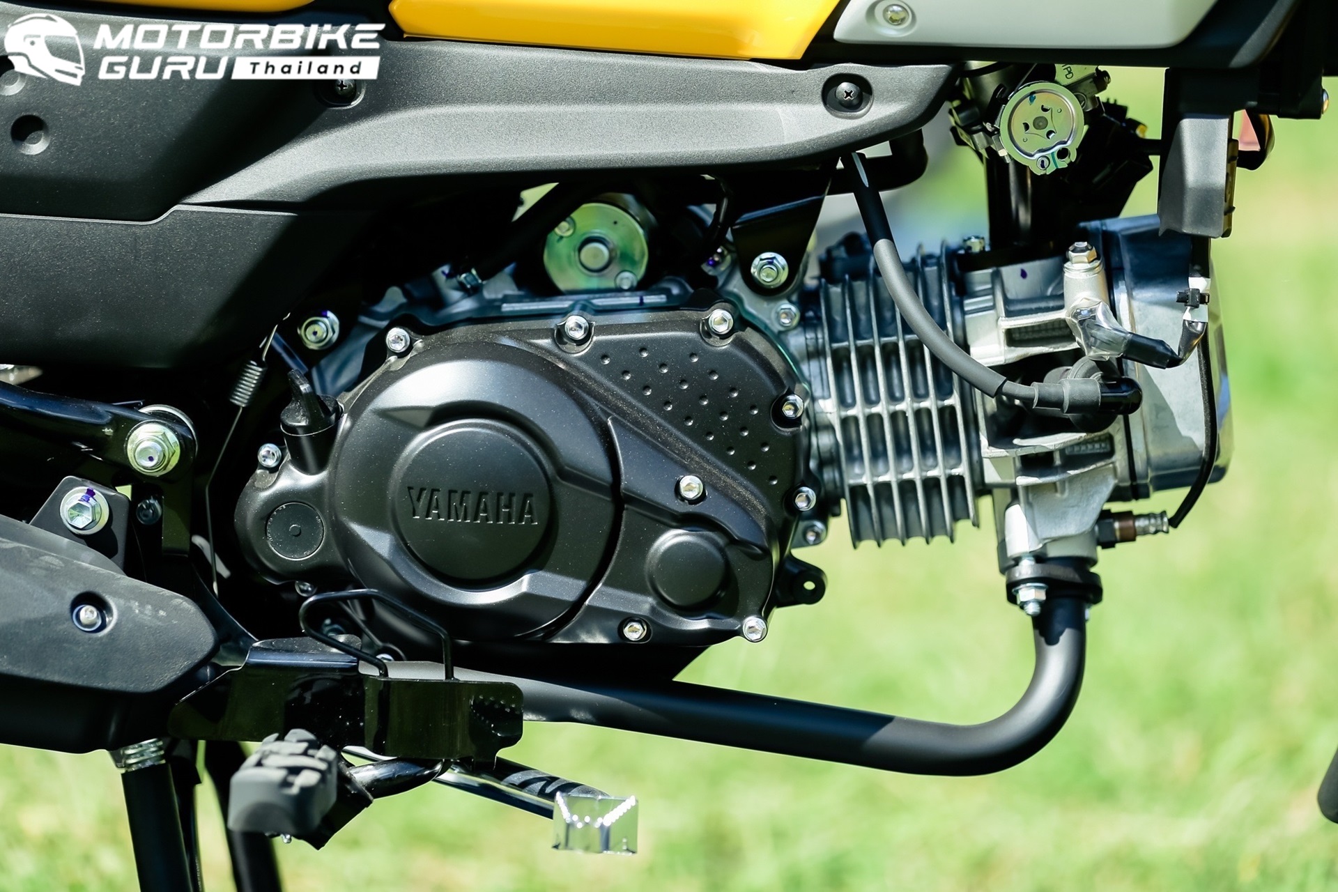 รูปภาพ ยามาฮ่า Yamaha PG-1 (Standard) ปี 2023