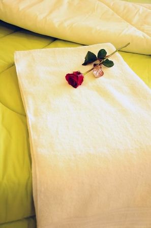 รูปภาพ เดอะ วิสด้อม เบิร์ก (The Wisdom Burg)