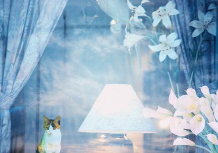 รูปภาพ บ้านกลางเมือง พระราม 3 ราษฎร์บูรณะ (Baan Klang Muang)