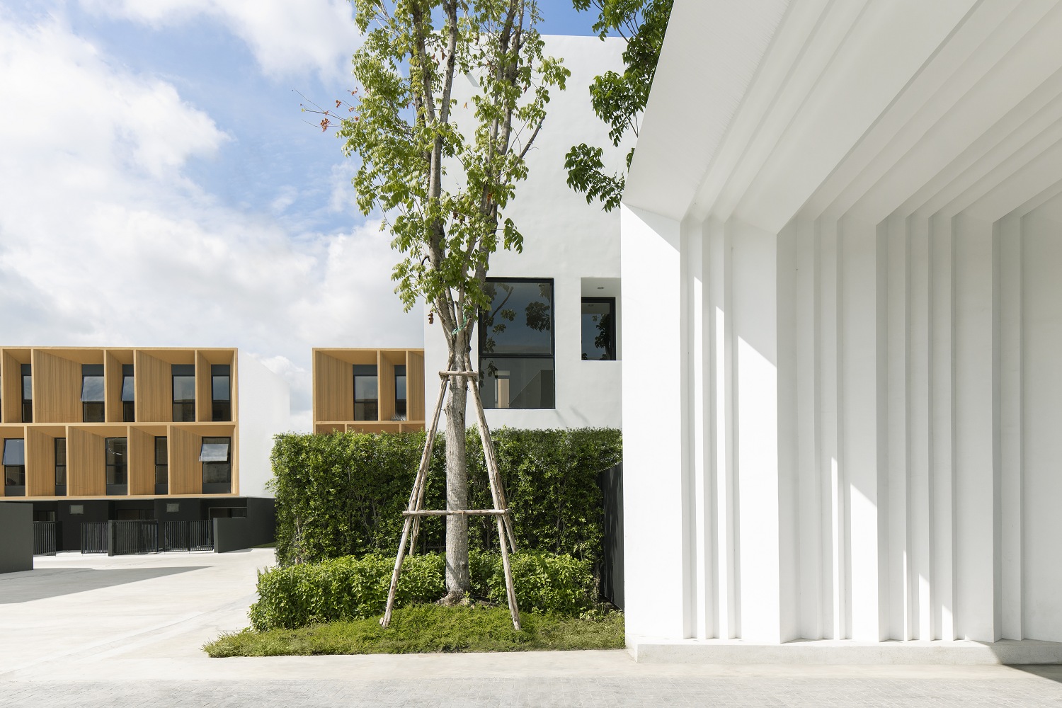 รูปภาพ พลูม วัชรพล-เอกมัย (Plume Watcharaphon-Ekkamai)