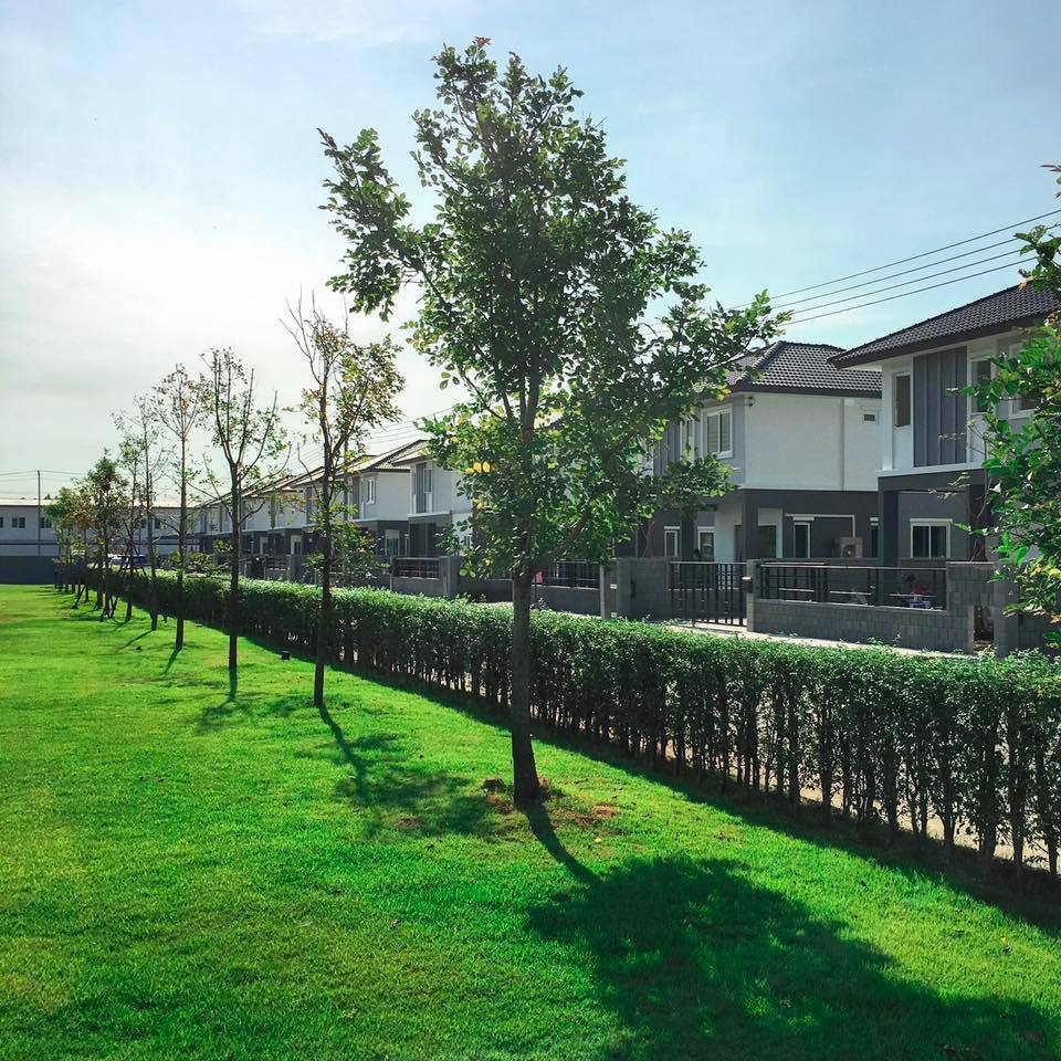 รูปภาพ บ้านฉัตรหลวง โครงการ 15 ซอยวัดบางเตยใน - สามโคก (Chatluang 15 Watbangtoeinai - Samcoke)