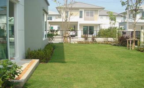 รูปภาพ พฤกษ์ลดา ติวานนท์-ราชพฤกษ์ (Pruklada Tiwanon-Ratchapruk)