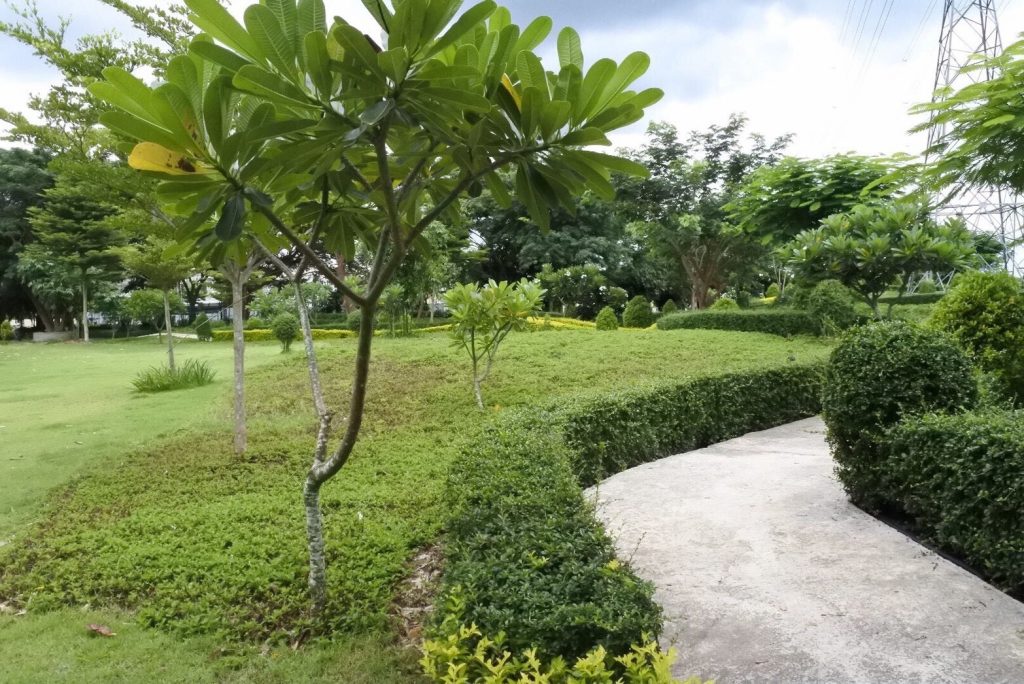 รูปภาพ ดีญ่า วาเล่ย์ สารภี (Diya Valley Sarapee)