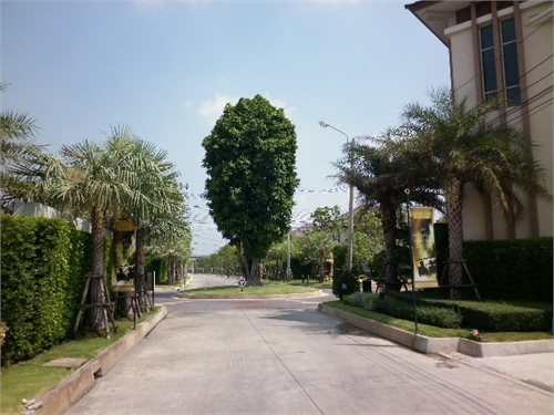 รูปภาพ เซนโทร อ่อนนุช-วงแหวน (Centro)