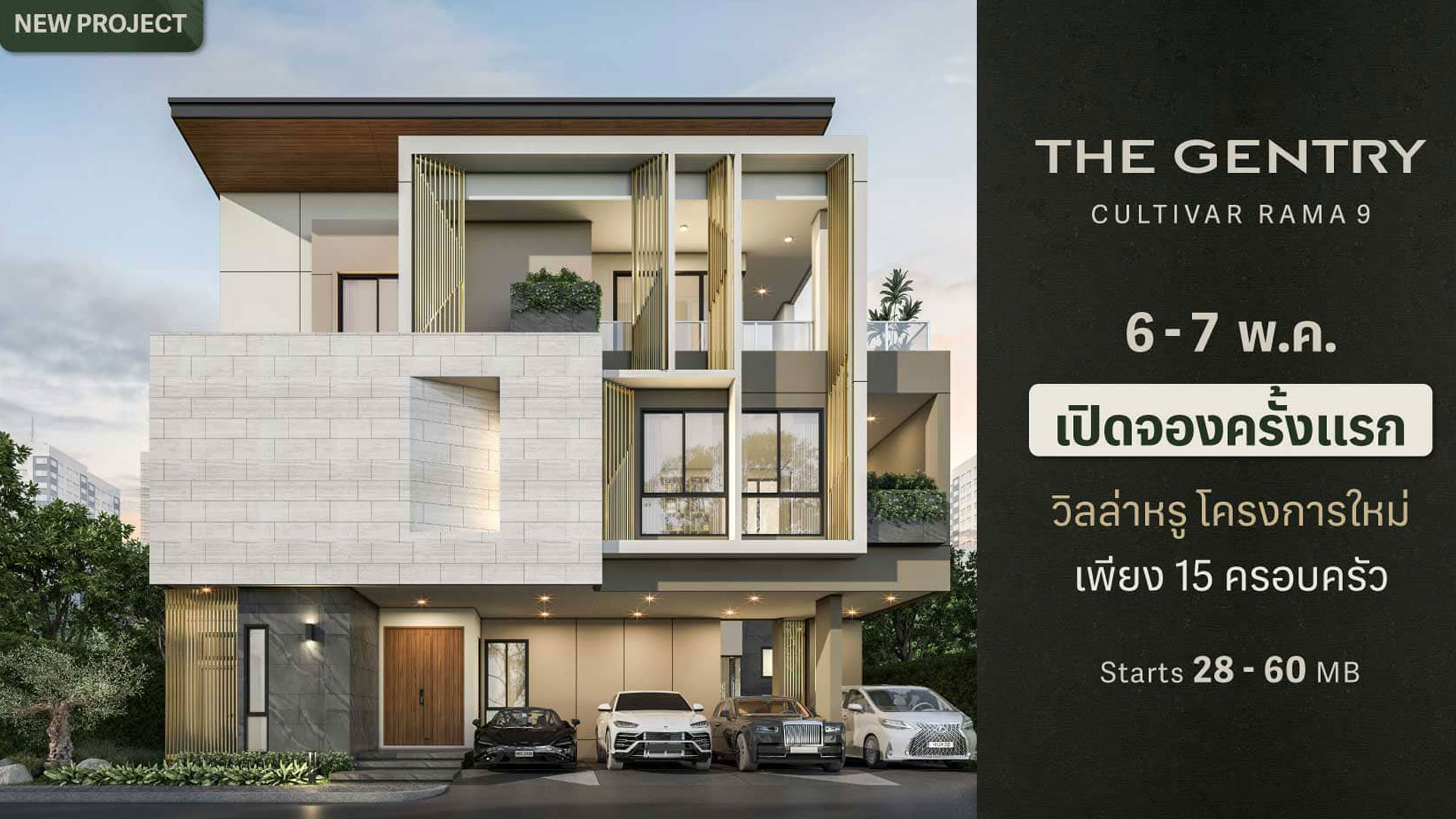 รูปภาพ เดอะ เจนทริ คัลทิวาร์ พระราม 9 (THE GENTRY CULTIVAR RAMA 9)