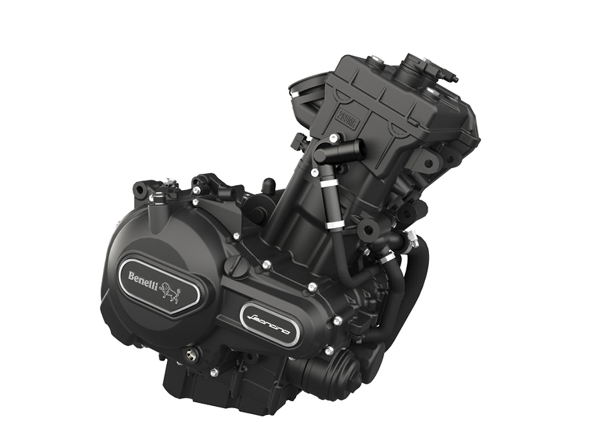 รูปภาพ เบเนลลี Benelli Leoncino Neo Classic Alloy wheels ปี 2023