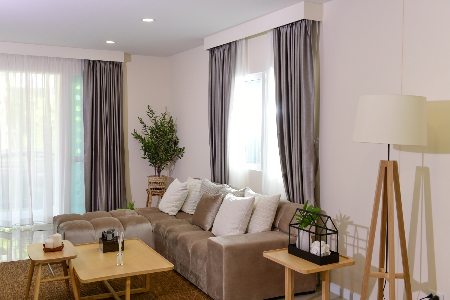 รูปภาพ พิมนารา ธรรมศาสตร์ รังสิต (Pimnara Thammasart Rangsit)